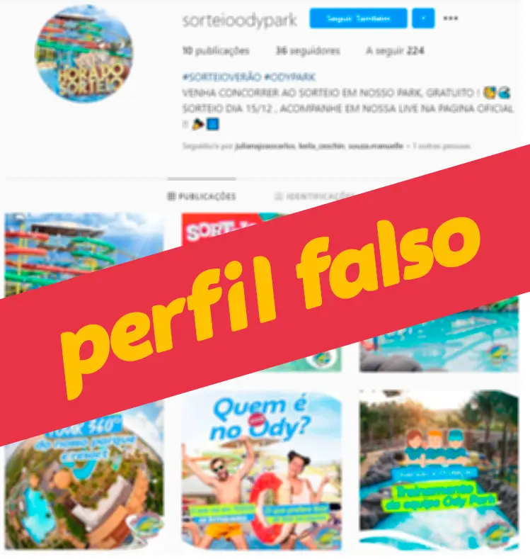 Exemplo do perfil sorteioodypark, marcado como perfil falso